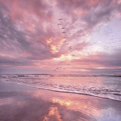 浴血长空果盘版下载